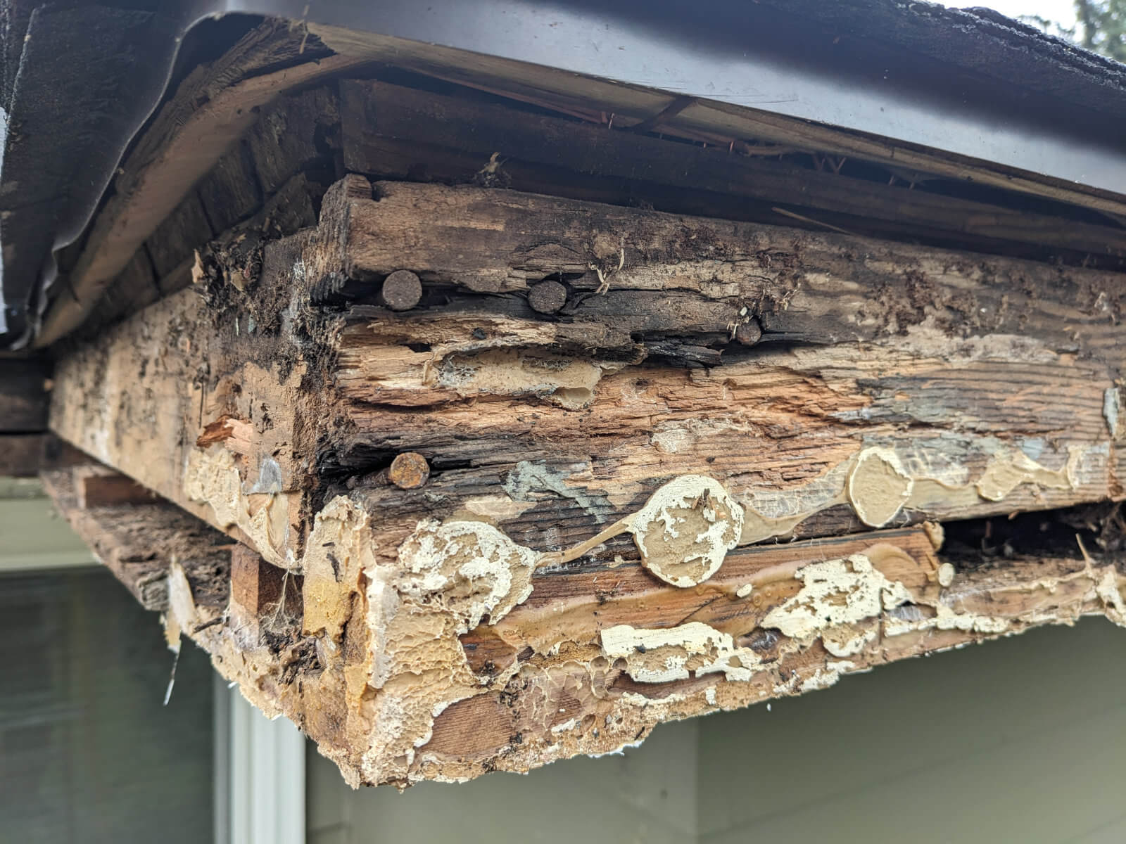 Rotted subfascia