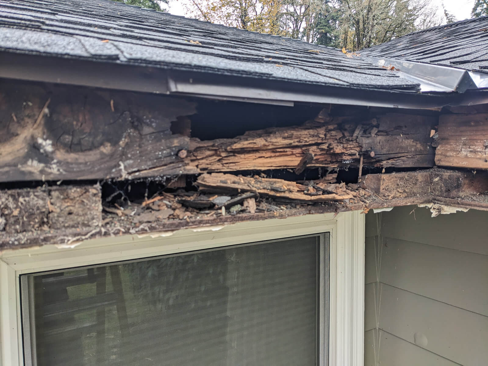 Rotted subfascia